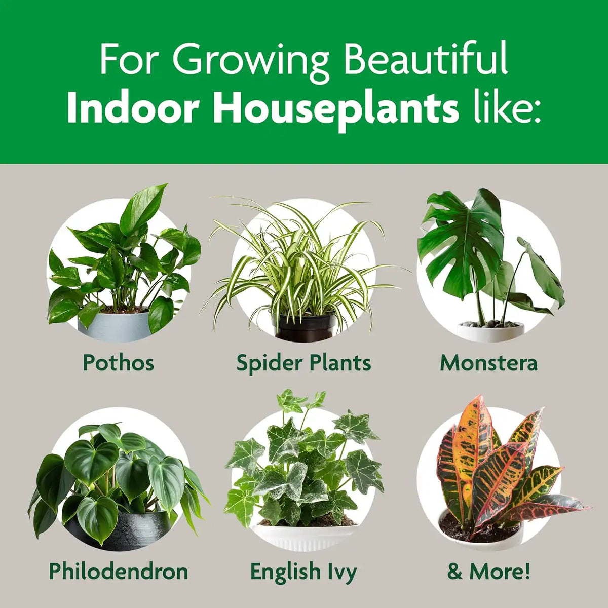 Miracle-Gro Indoor Potting Mix, Blended for a Variety of Houseplants, Feeds for up to 6 Months, 6 qt., 3-Pack