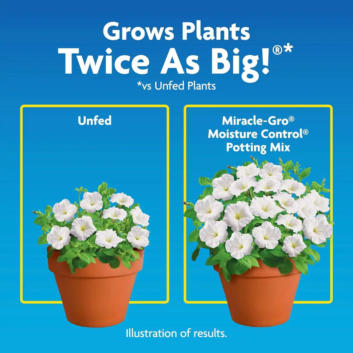 Miracle-Gro Moisture Control Potting Mix - Plant Soil For Container Plants, Protects against Over- and Under-Watering, 8 qt. (3-Pack)