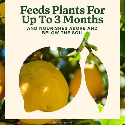Miracle-Gro Shake 'N Feed Citrus, Avocado, Mango Plant Food - Fertilizer for Container and In-Ground Plants, Citrus, Avocado and Mango Trees, 4.5 lbs.