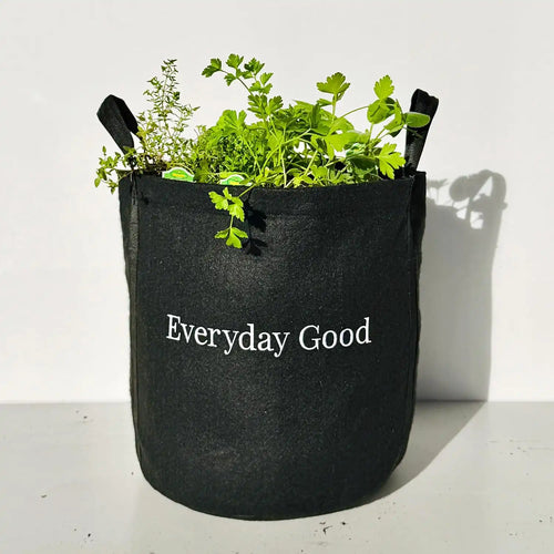 Gardenuity Everyday Good Garden – Live Bonnie Plants, Miracle-Gro Pour & Feed Plant Food, Soil & 5-Gallon Grow Bag – Patio Herb Garden Kit for Beginners