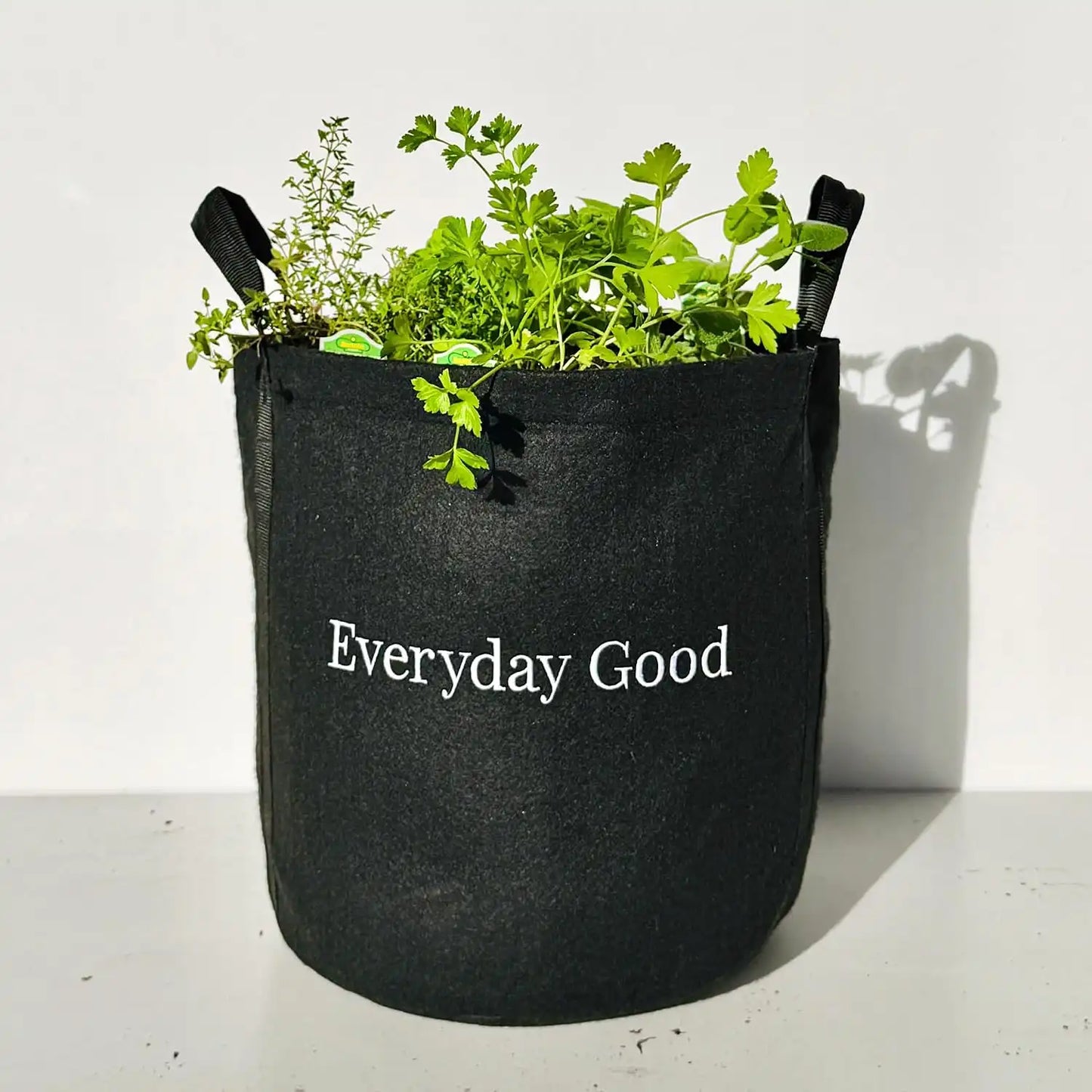 Gardenuity Everyday Good Garden – Live Bonnie Plants, Miracle-Gro Pour & Feed Plant Food, Soil & 5-Gallon Grow Bag – Patio Herb Garden Kit for Beginners