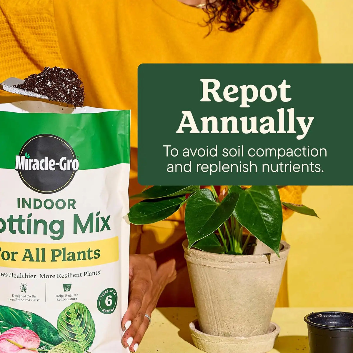 Miracle-Gro Indoor Plant Grow, Feed & Protect Houseplant Care Bundle