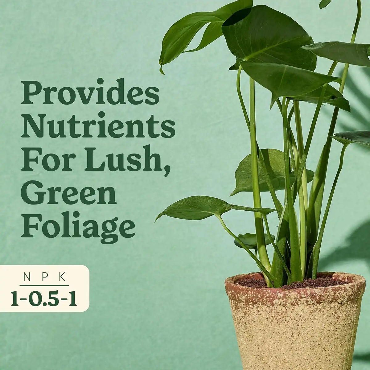 Miracle-Gro Indoor Plant Food for Tropicals, 8 fl. oz. (2-Pack)