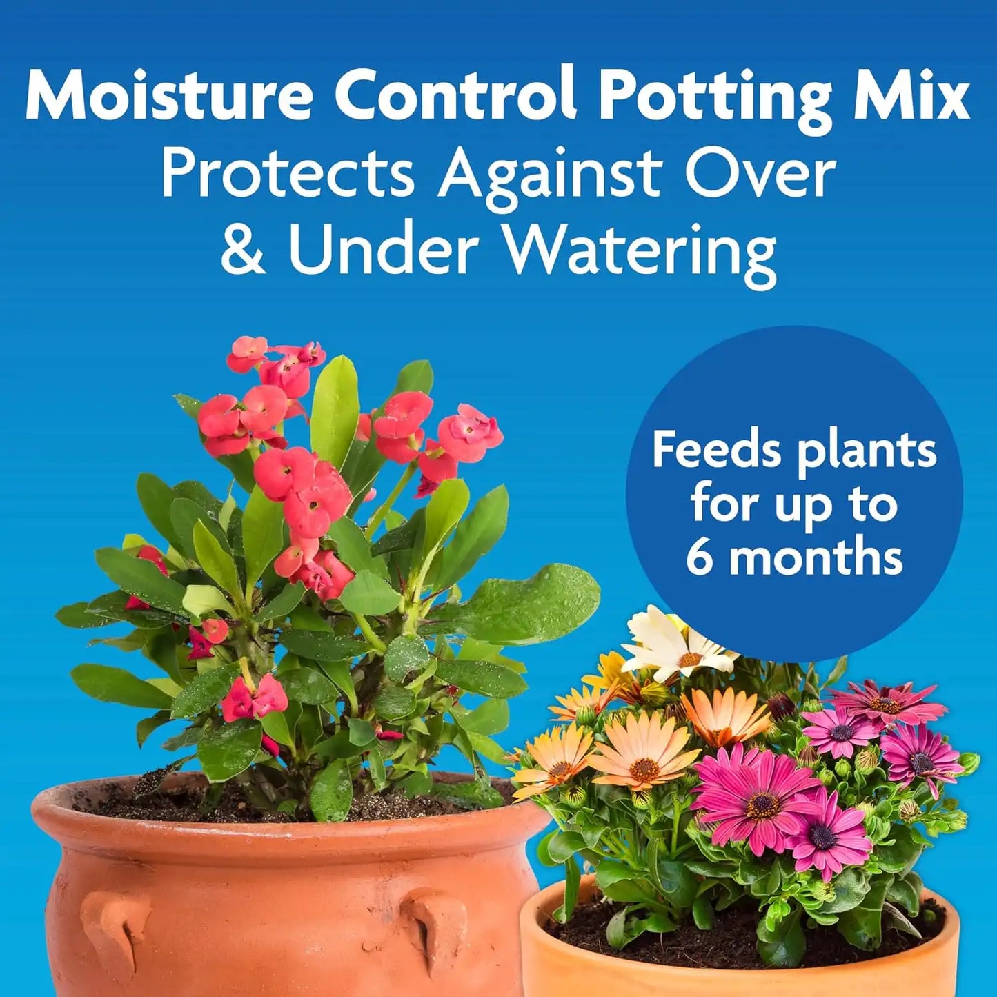 Miracle-Gro Moisture Control Potting Mix, 16 qt. (2-Pack)