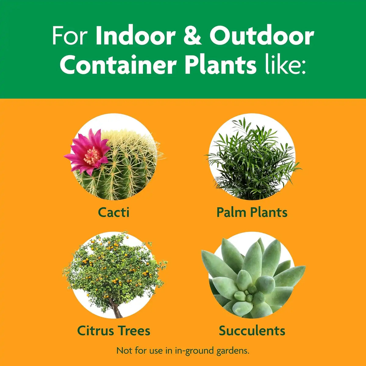 Miracle-Gro Cactus, Palm & Citrus Potting Mix, 8 qt.