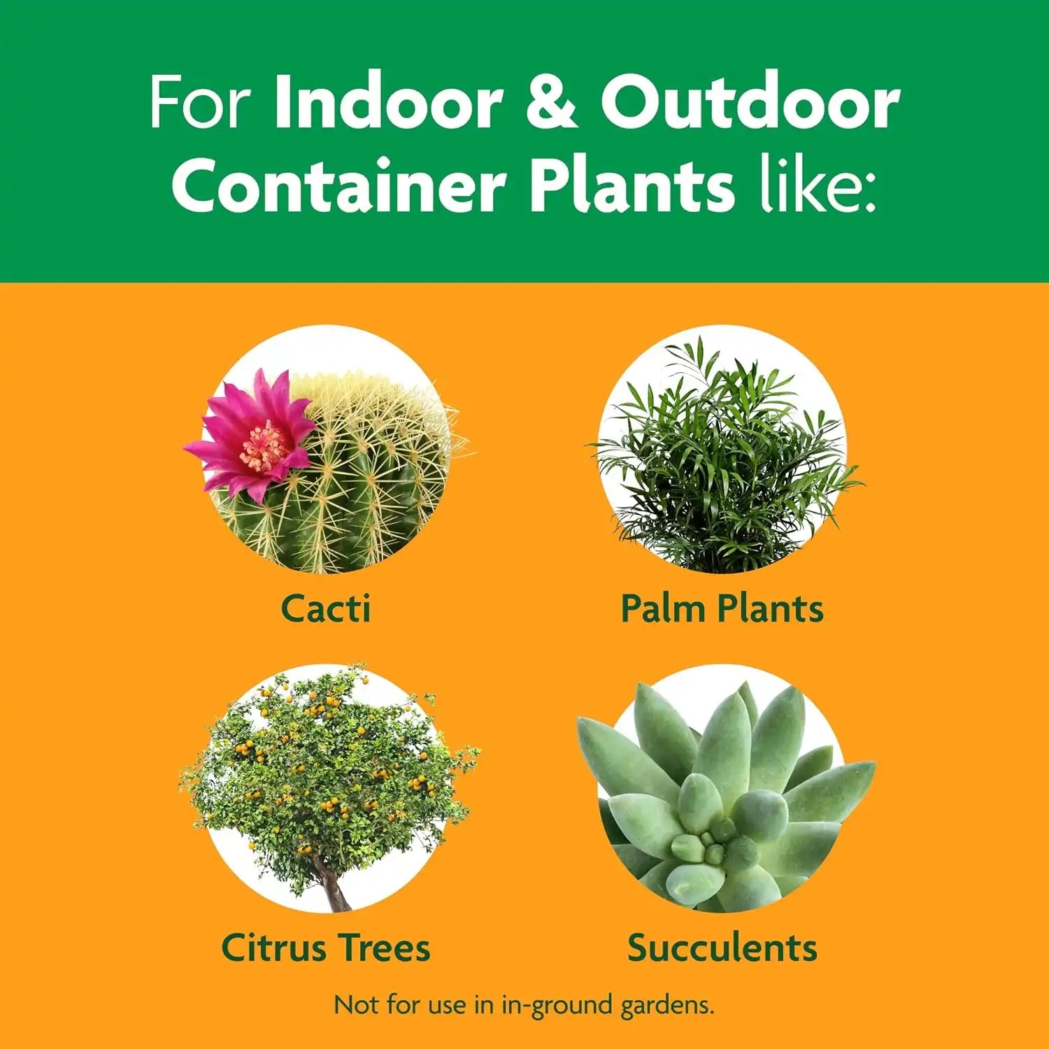 Miracle-Gro Cactus, Palm & Citrus Potting Mix, 8 qt.