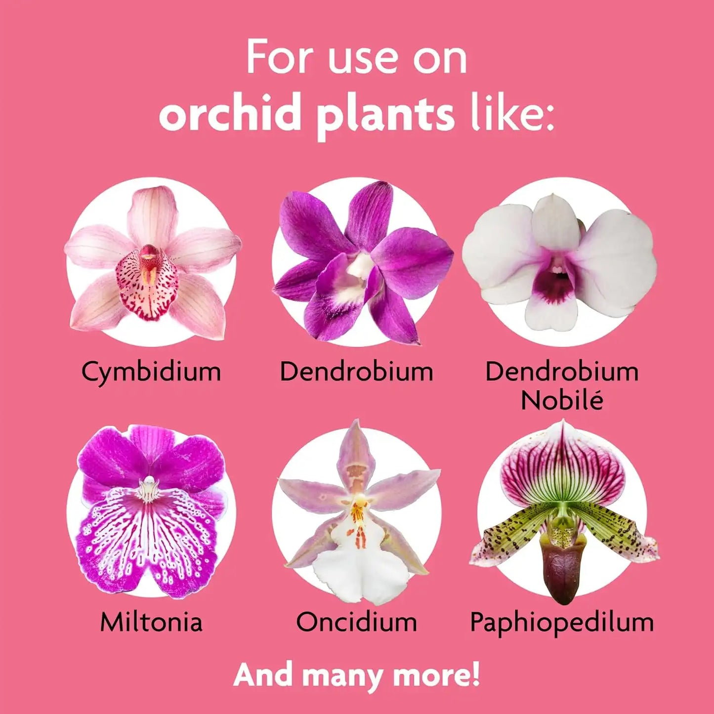 Miracle-Gro Ready-to-Use Orchid Plant Food Mist - Fertilizer Mist for Indoor Blooming Orchids - 8 fl. oz. (2 Pack)