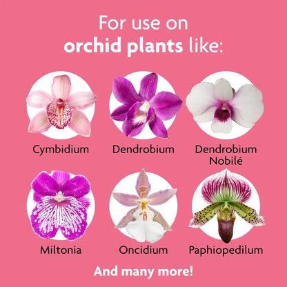 Miracle-Gro Ready-to-Use Orchid Plant Food Mist - Fertilizer Mist for Indoor Blooming Orchids - 8 fl. oz. (2 Pack)