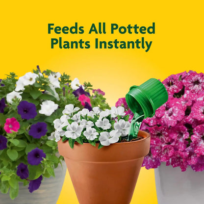 Miracle-Gro Pour & Feed Plant Food, 32 fl. oz.