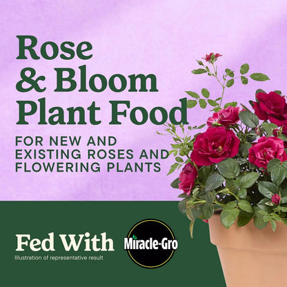 Miracle-Gro Shake 'N Feed Rose & Bloom Plant Food, 4.5 lb
