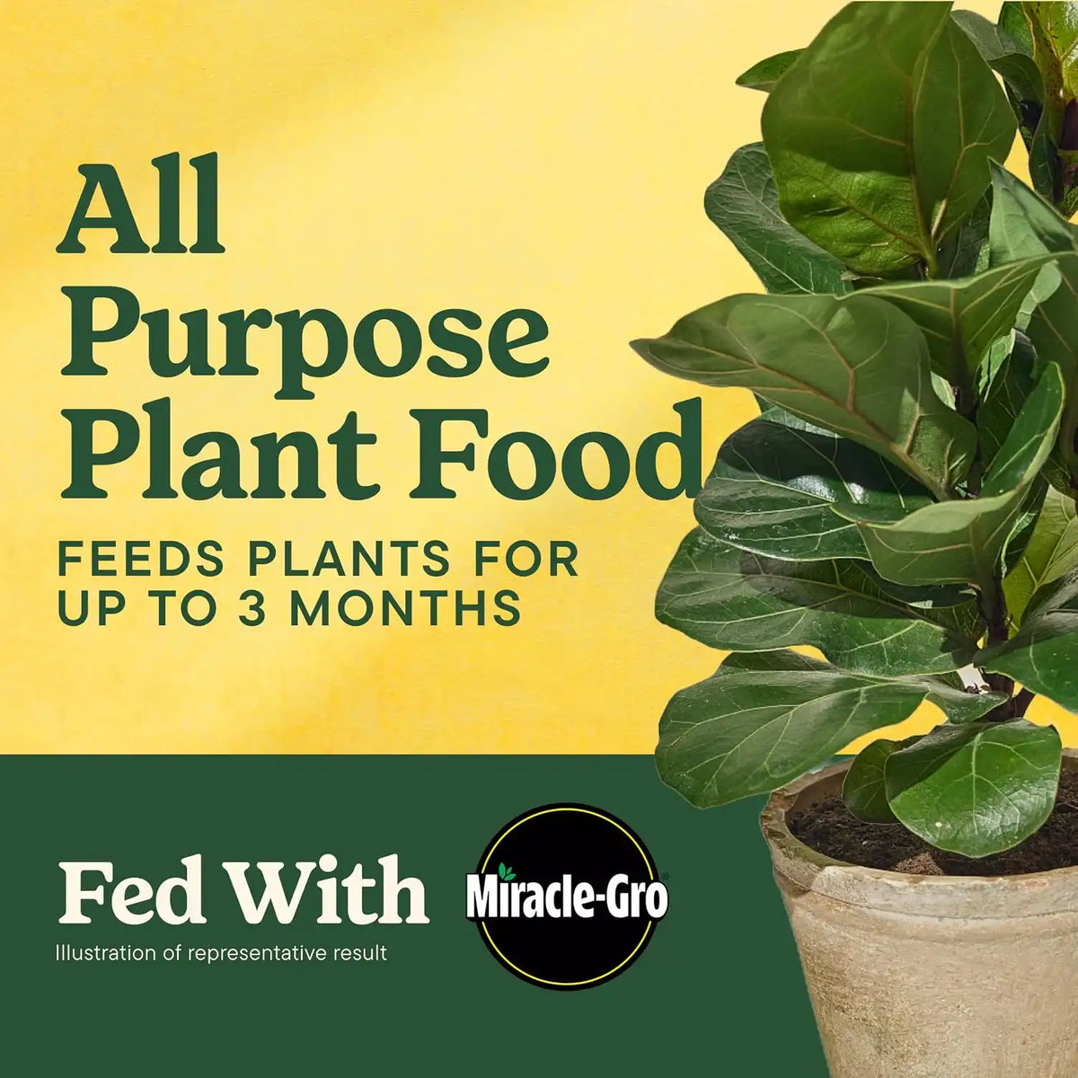 Miracle-Gro Shake 'N Feed All Purpose Plant Food, 1 lb.