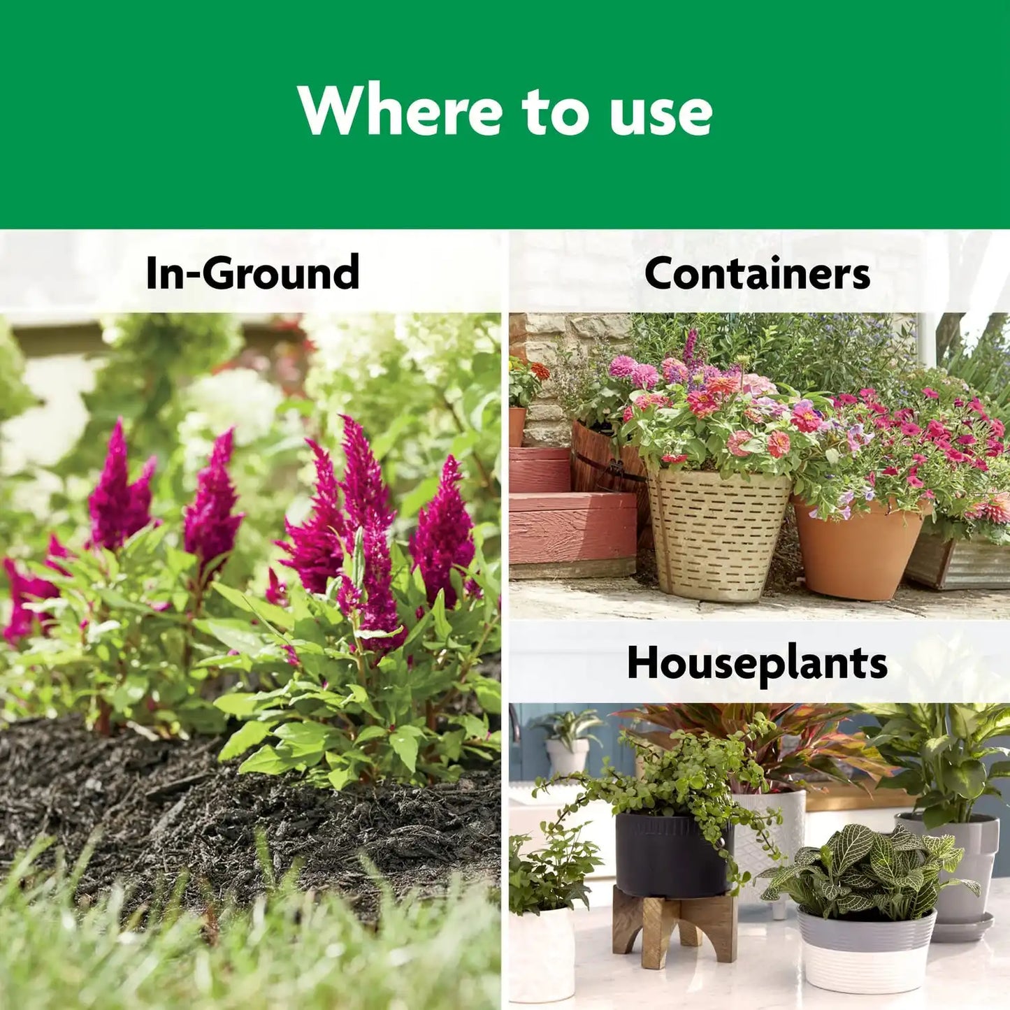 Miracle-Gro Shake 'N Feed All Purpose Plant Food - Outdoor and Indoor Plant Food for In-Ground and Containers, Feeds for up to 3 Months, 8 lbs. (Pack of 4)