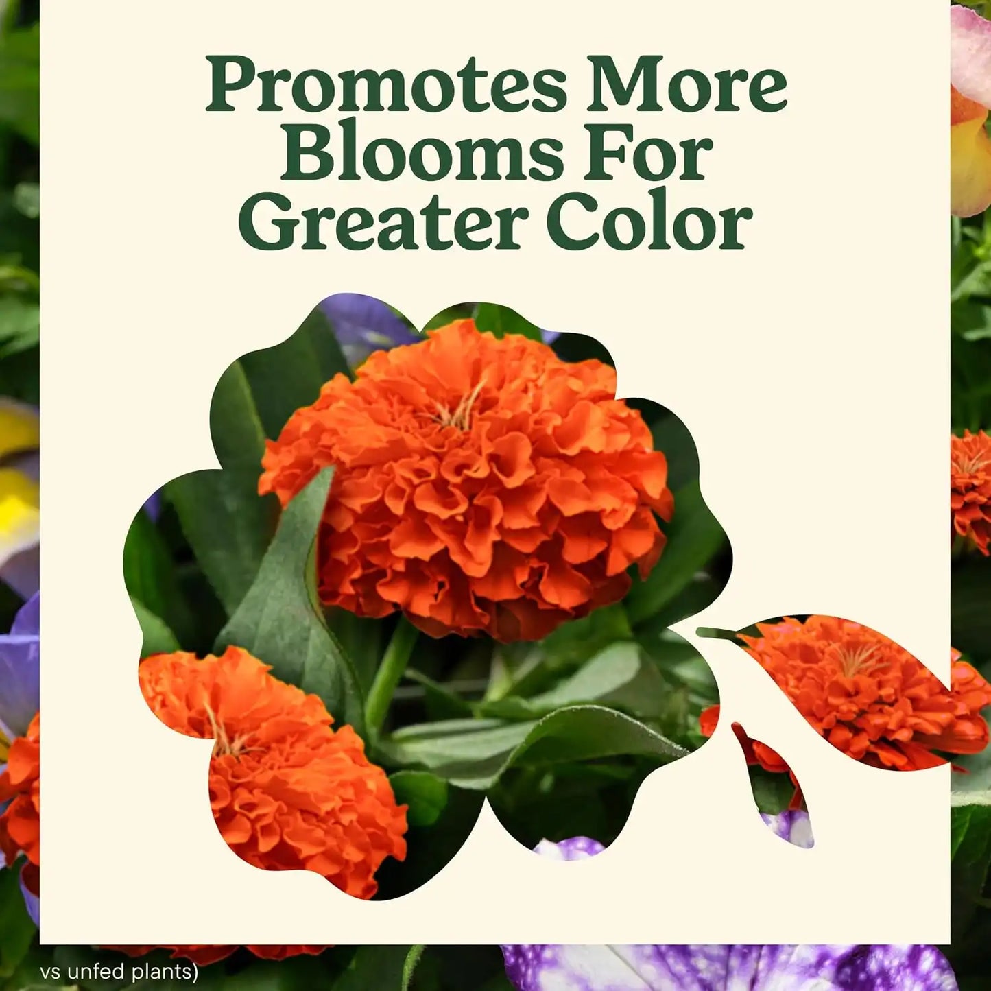 Miracle-Gro LiquaFeed Advance Starter Kit & Bloom Booster Flower Food