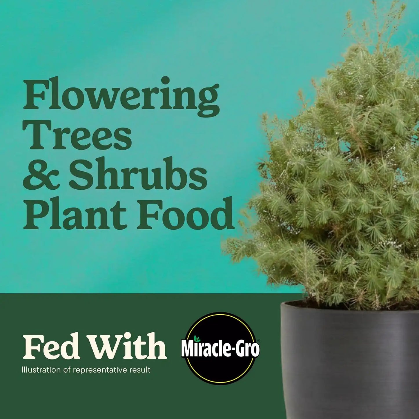 Miracle-Gro Shake 'N Feed Flowering Trees & Shrubs Plant Food, 8 lb.