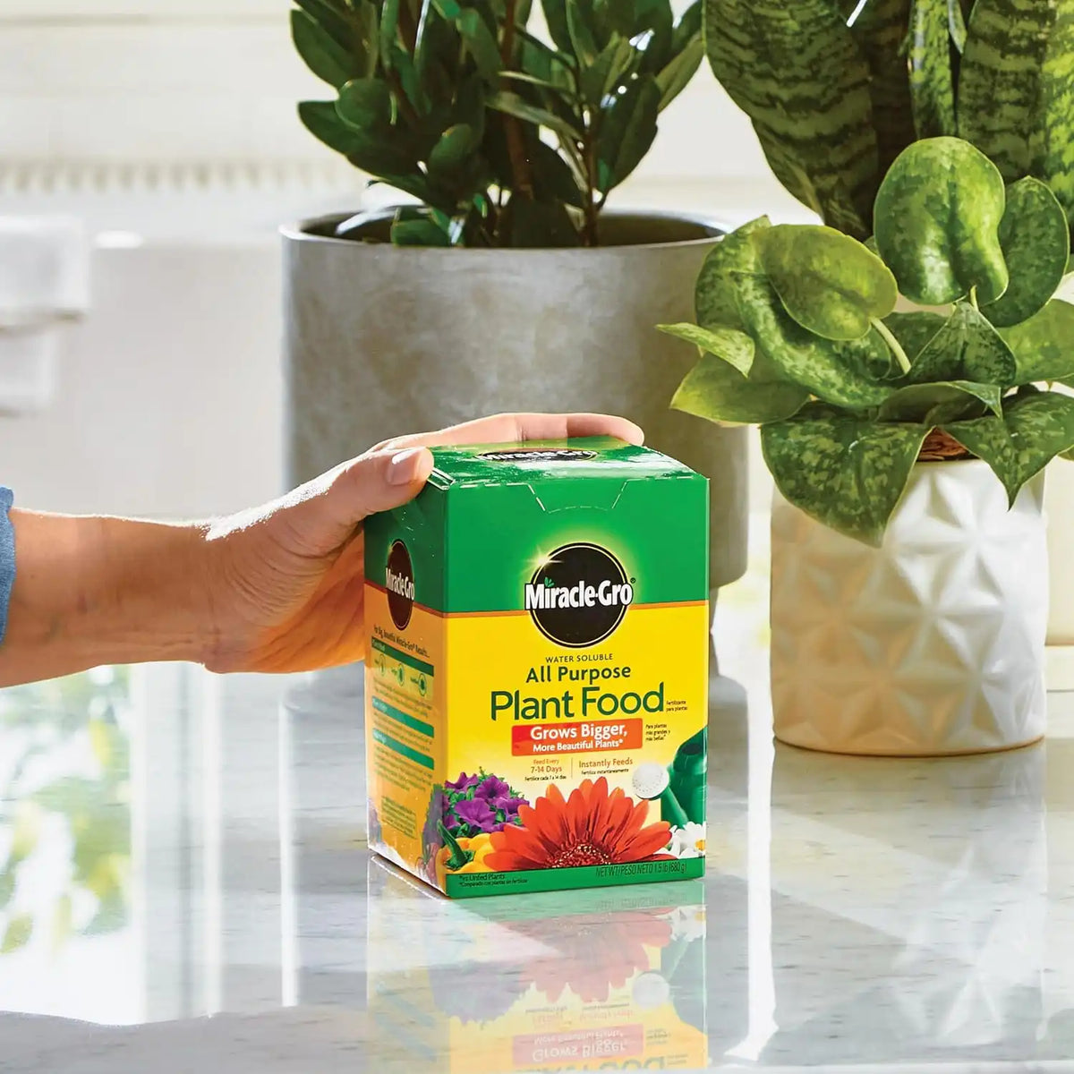 Miracle-Gro Water Soluble All Purpose Plant Food - Fertilizer for All Indoor or Outdoor Plants Including Roses, Flowers, Vegetables, Houseplants, Trees, and Shrubs, 1.5 lbs. (Pack of 6)