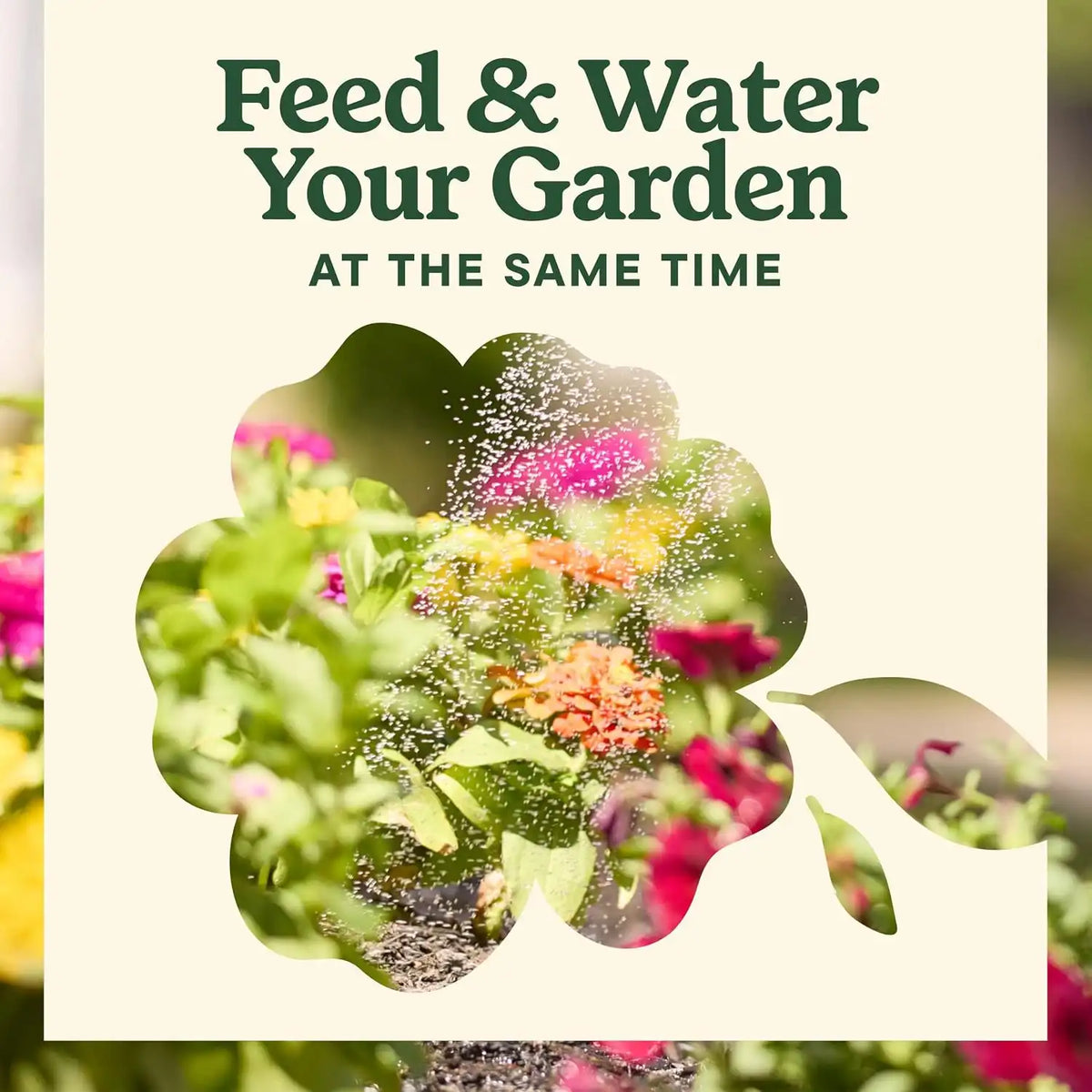 Miracle-Gro LiquaFeed All Purpose Plant Food Advance Starter Kit