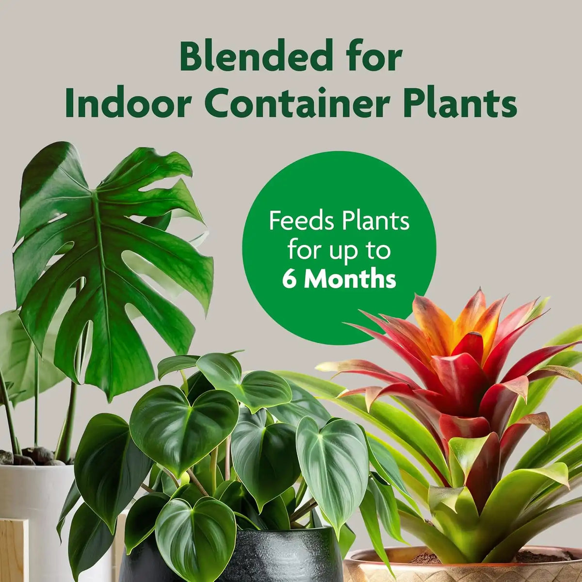 Miracle-Gro Indoor Potting Mix, Blended for a Variety of Houseplants, Feeds for up to 6 Months, 6 qt., 3-Pack