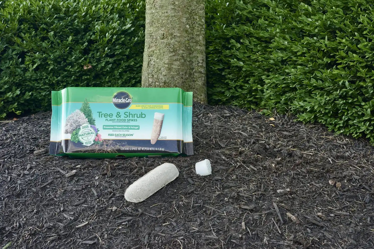 Miracle-Gro Tree & Shrub Plant Food Spikes, 12 Spikes (2-Pack)