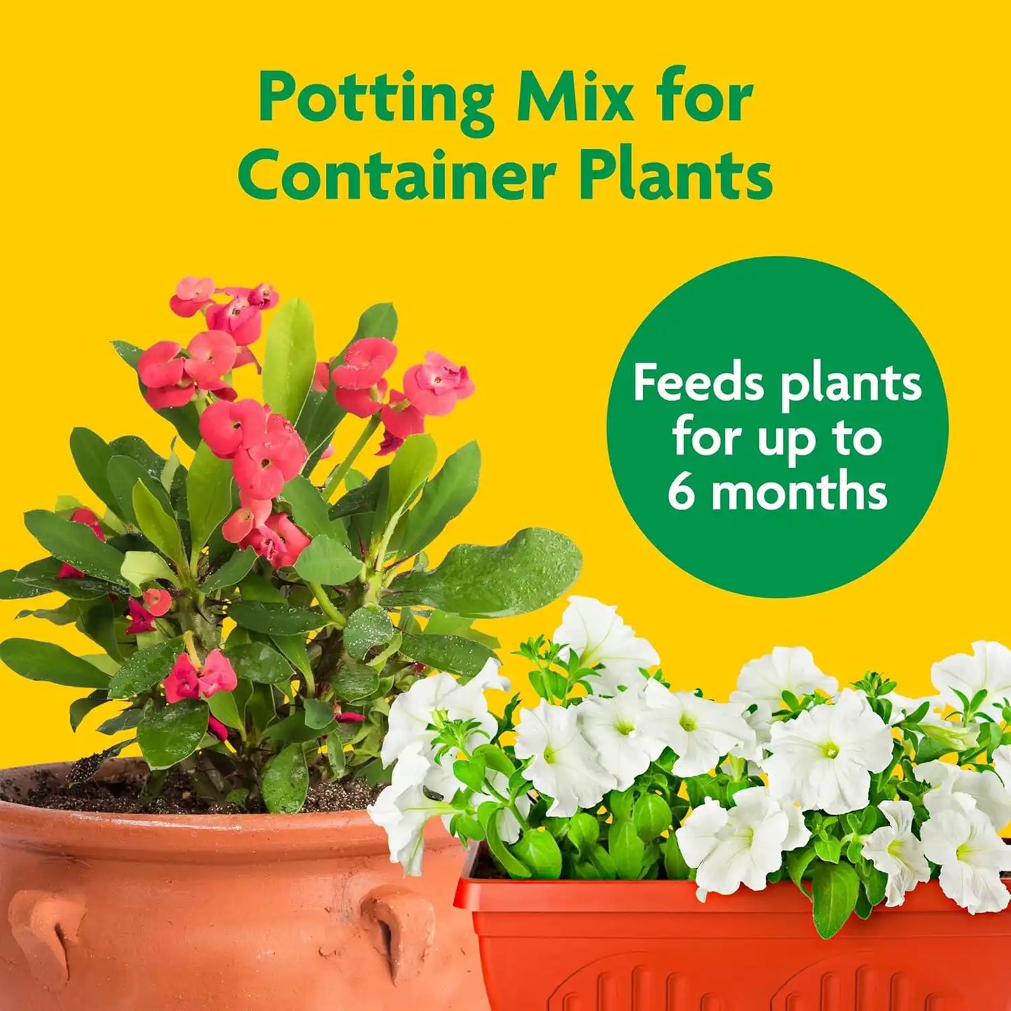 Miracle-Gro Potting Mix, 16 qt. (2-Pack)