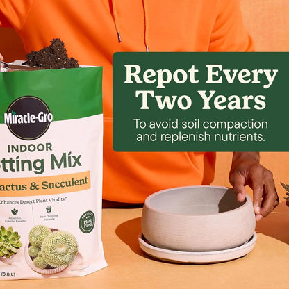 Miracle-Gro Indoor Potting Mix & Plant Food for Cactus & Succulent Bundle