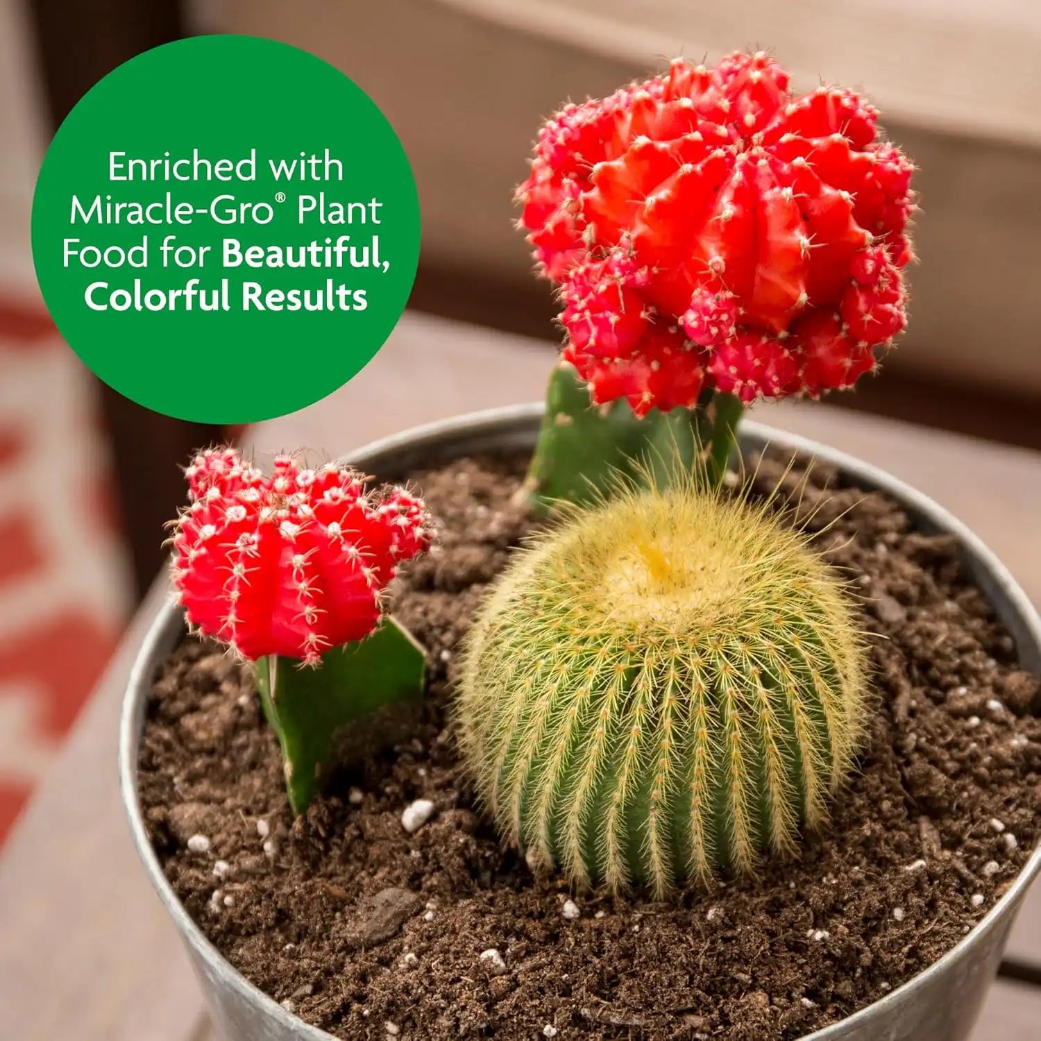 Miracle-Gro Cactus, Palm & Citrus Potting Mix, 8 qt.