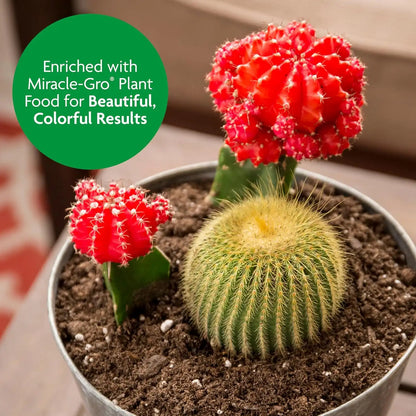 Miracle-Gro Cactus, Palm & Citrus Potting Mix, 8 qt.