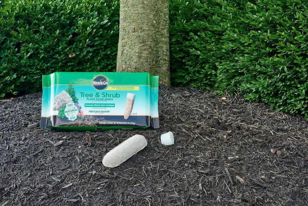 Miracle-Gro Plant Food Spikes, 2-Pack Bundle