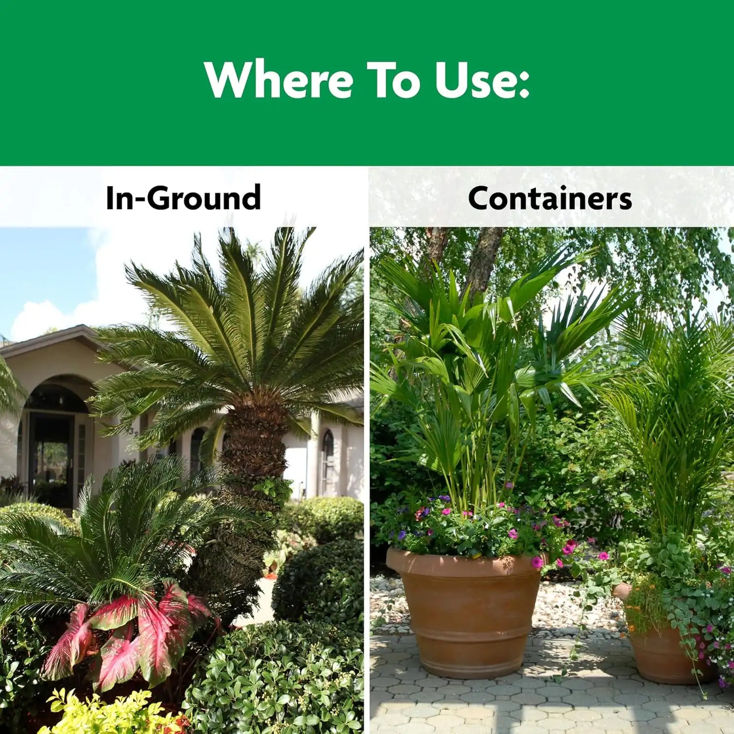 Miracle-Gro Shake 'N Feed Palm Plant Food, 4.5 lb. (Pack of 6)