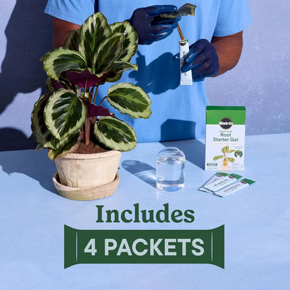 Miracle-Gro Plant Care Root Starter Gel (2-Pack)
