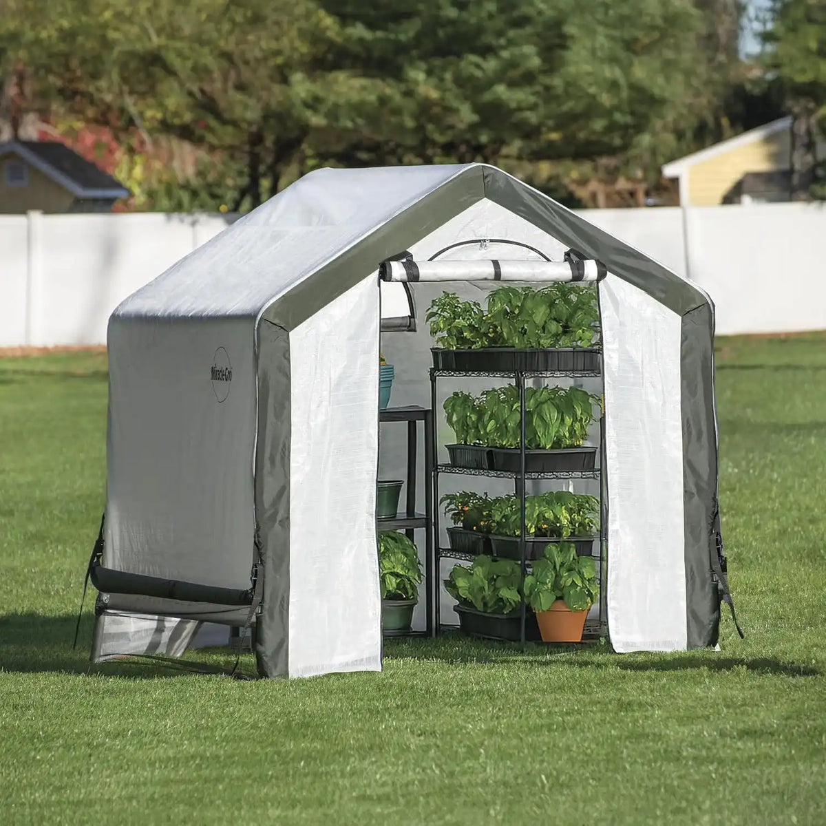 Miracle-Gro Walk-in Outdoor Greenhouse, Clear, 6 x 6 x 6 ft