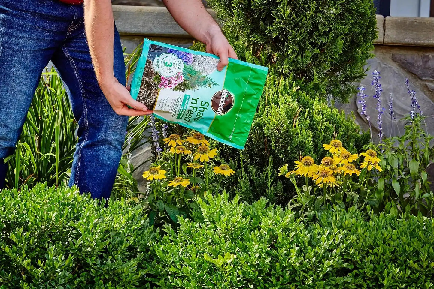 Miracle-Gro Shake 'N Feed Flowering Trees and Shrubs Plant Food, for In-Ground and Container Plants, Acid-Loving Flowering Plants, 8 lbs., (Pack of 4)