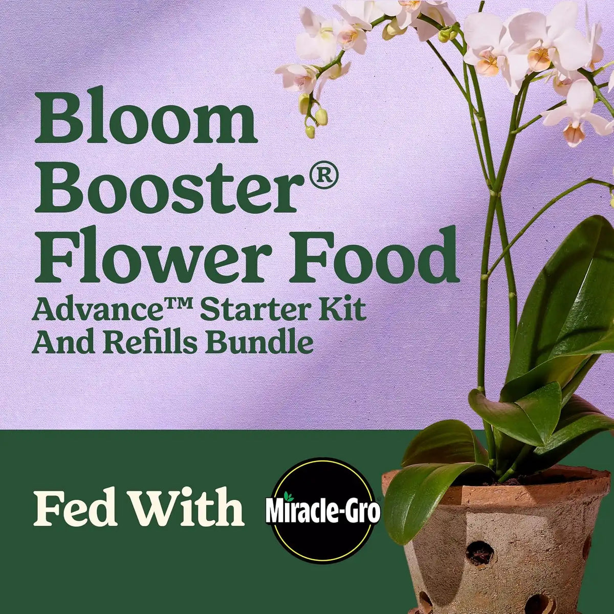 Miracle-Gro LiquaFeed Advance Starter Kit & Bloom Booster Flower Food