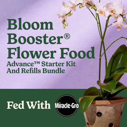 Miracle-Gro LiquaFeed Advance Starter Kit & Bloom Booster Flower Food