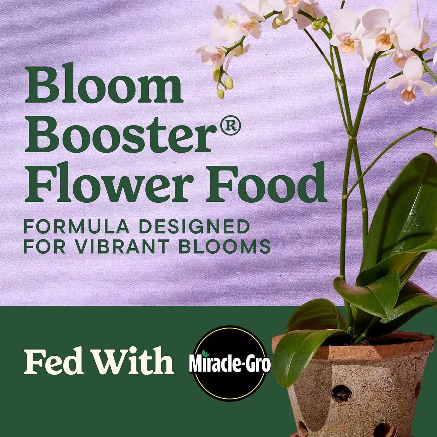 Miracle-Gro LiquaFeed Bloom Booster Flower Food, 16 fl. oz. (2 Pack)