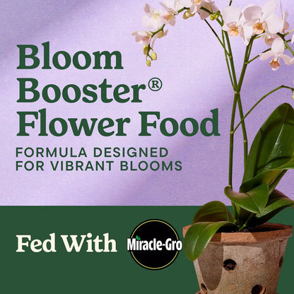 Miracle-Gro LiquaFeed Bloom Booster Flower Food, 16 fl. oz. (2 Pack)
