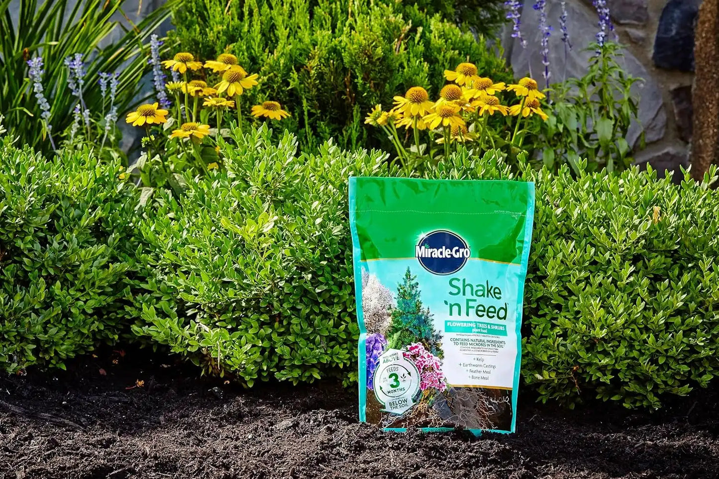 Miracle-Gro Shake 'N Feed Flowering Trees and Shrubs Plant Food, for In-Ground and Container Plants, Acid-Loving Flowering Plants, 8 lbs., (Pack of 4)
