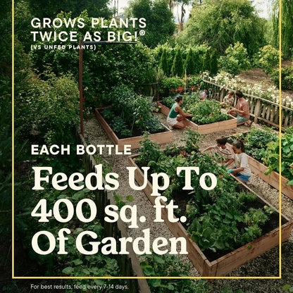 Miracle-Gro LiquaFeed All Purpose Plant Food Advance Starter Kit & Refills